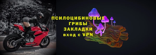 прущие грибы Армянск