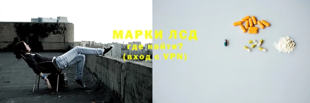 прущие грибы Армянск