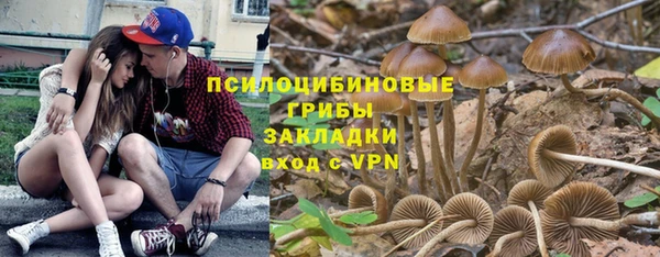 хмурый Арсеньев