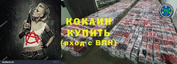 прущие грибы Армянск